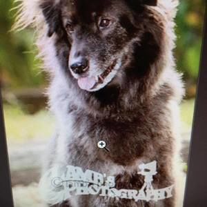 Meet your Posher, Cherry